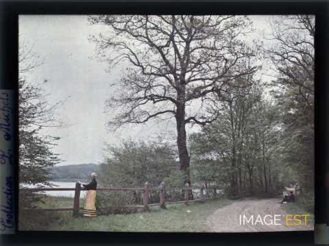 Scène près d'un étang  (Brin-sur-Seille)